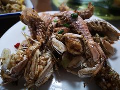 -大树下饭店(春晓镇慈岙社区卫生服务站南)