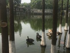 -东莞市可园博物馆