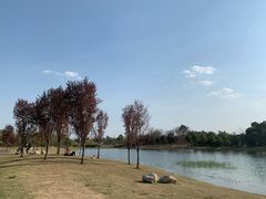 -两河城市森林公园