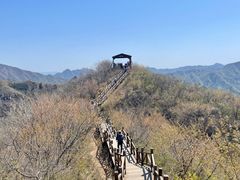 -大岭沟猕猴桃谷风景区