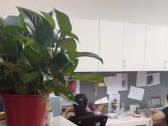 -英孚教育青少儿(河东中心)