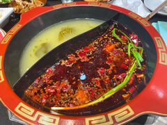陆派鸳鸯锅-陆派巴倒烫火锅(城东店)