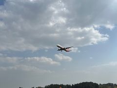 -空港花田景区