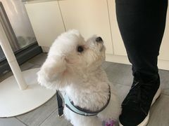 -爱侣宠医·鹦鹉专科·小型哺乳类·异宠专科(灵石路店)