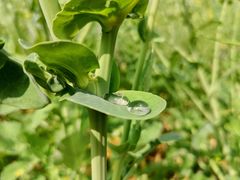 -楠溪江风景名胜区