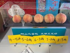 -老袁家蜜桃农场·阳山水蜜桃