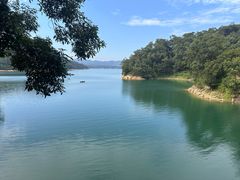 -广州市流溪河国家森林公园