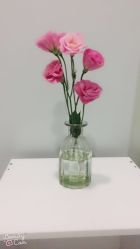 -苑苑vbeauty科技美容SPA