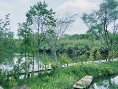 -溱湖国家湿地公园