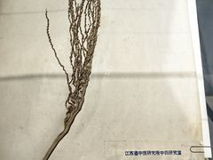 -南京中医药大学(仙林校区)