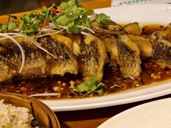 糖醋脆皮鱼-永乐饭店