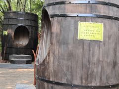 -长白山聚龙火山温泉