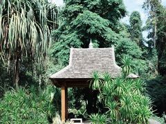 -中国科学院西双版纳热带植物园