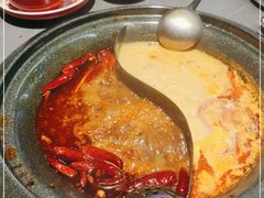 -生活如沸·顺德水牛奶火锅(大学路店)