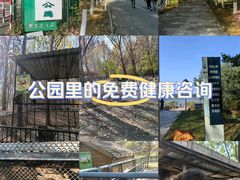 -长白岛森林公园