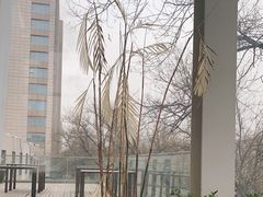 -無用生活空间(北京店)