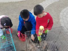 -前小桔亲子创意农场·草莓采摘·露营烧烤