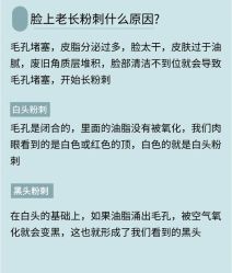 点击看大图 -玛莲朵·海菲秀冰珀科