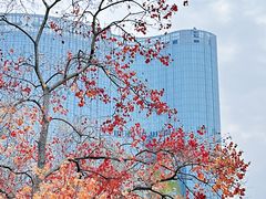 -艾溪湖湿地公园