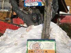 -宫城藏王狐狸村