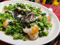 青青椒蒸鱼-舒味姜母鸭·沙茶面(湖里店)