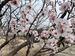 -白水寺森林公园