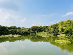 -天生桥景区