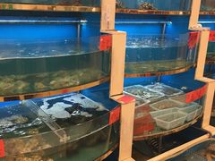 水产区-阿湾楼·温州海鲜·江浙菜(京江路店)