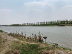 -春花秋色城市公园