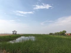 -黄沙古渡原生态旅游区
