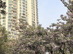 -苏州河梦清园环保主题公园