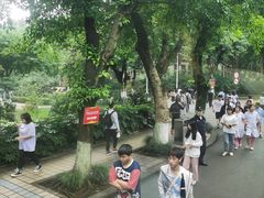 -西南政法大学(沙坪坝校区)