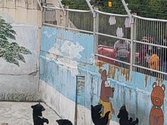 -青峰峡国家森林公园