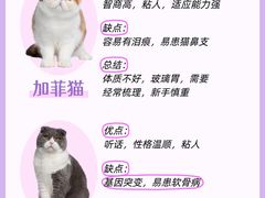 -lincat·猫舍(广州店)