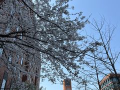 -浙江大学(紫金港校区)