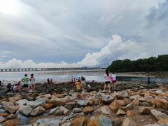 -宝安西湾红树林湿地公园