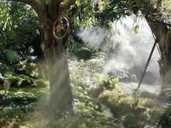 -Chom Cafe and Restaurant