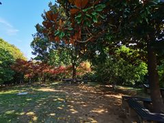 -白马涧龙池景区