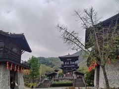 -大唐贡茶院