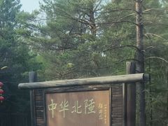 -北极村旅游风景区