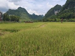 -靖西鹅泉风景区