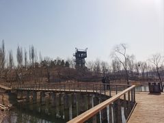 -东郊湿地公园