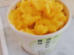 -宝珠奶酪(浦东金桥店)