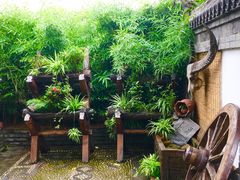 -慢丽江·云南野生菌土鸡锅(西山店)