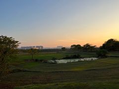 -盘龙城国家考古遗址公园