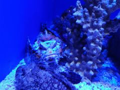 -上海海洋水族馆