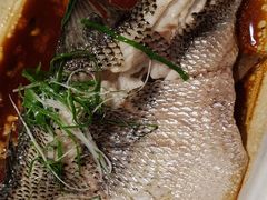 -紫光园·烤鸭·北京菜(劲松店)