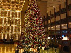 -The Lounge·大堂酒廊·北京粤财JW万豪酒店