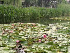 -中国银行江苏省分行培训中心