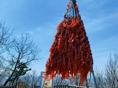 -帽儿山国家森林公园